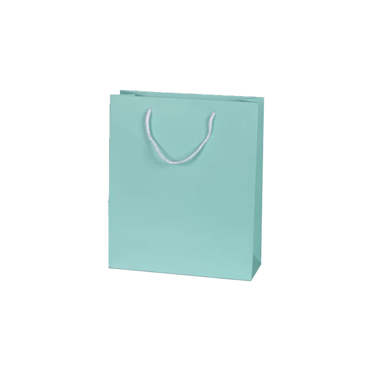 Recyclable paper bag with logo custom shopping paper bag with handle